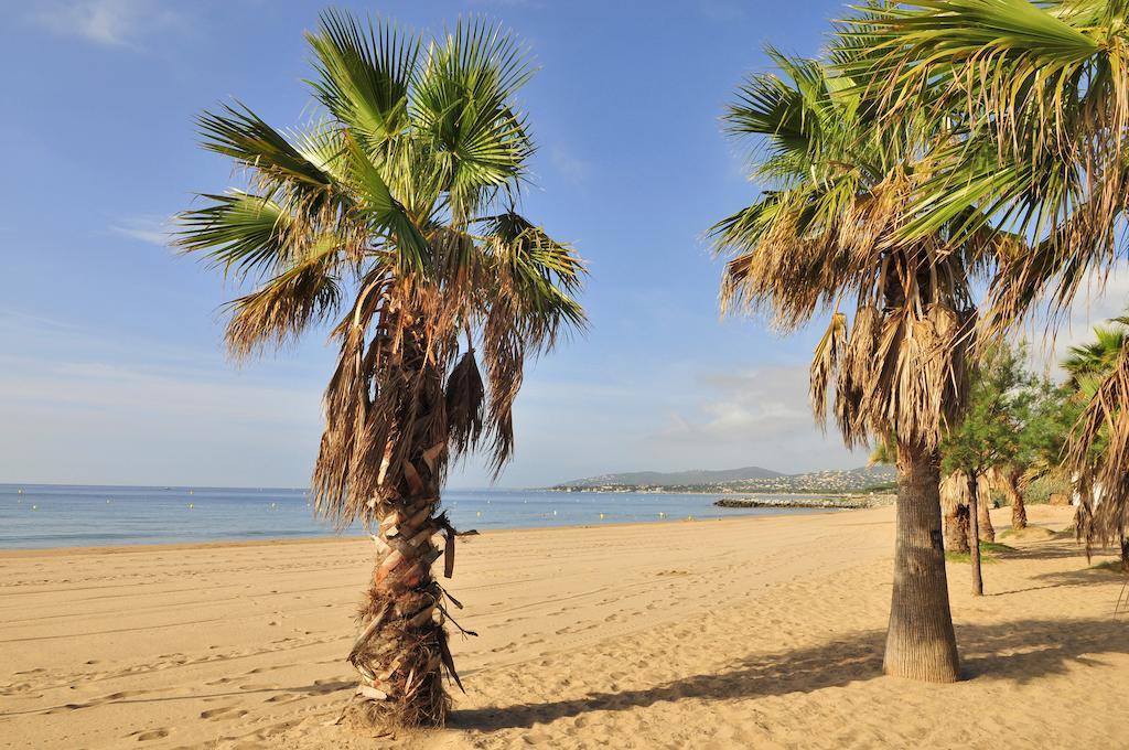Hotel Mileade Mediterranee - Port-Fréjus Dış mekan fotoğraf
